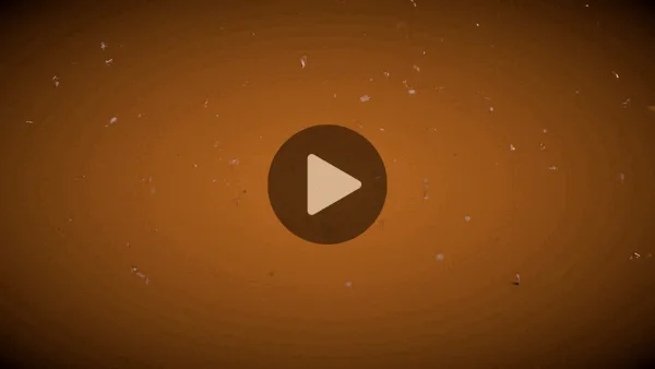 Unshatter animation thumbnail