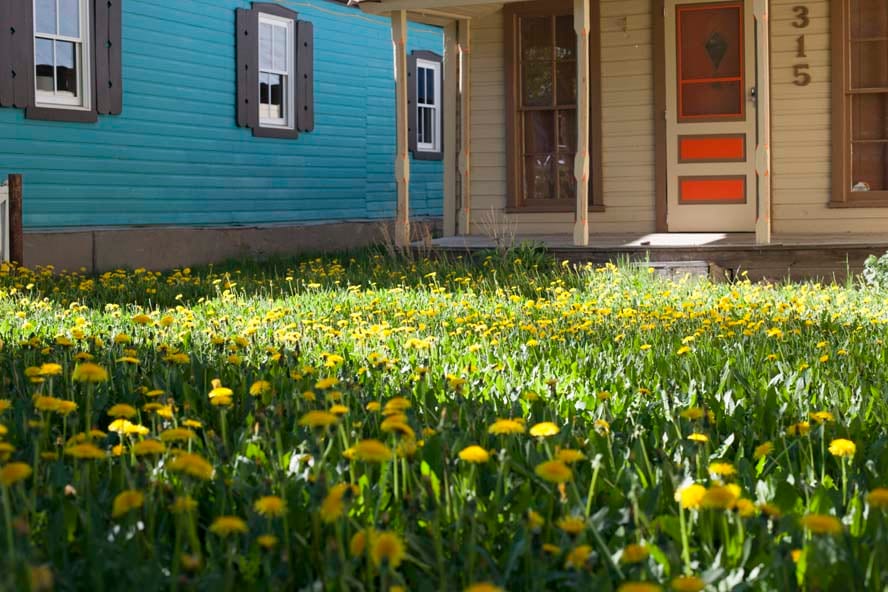 2019 Crested Butte gallery cover