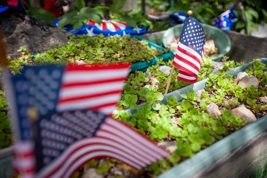 2025 Fourth of July Georgetown gallery cover