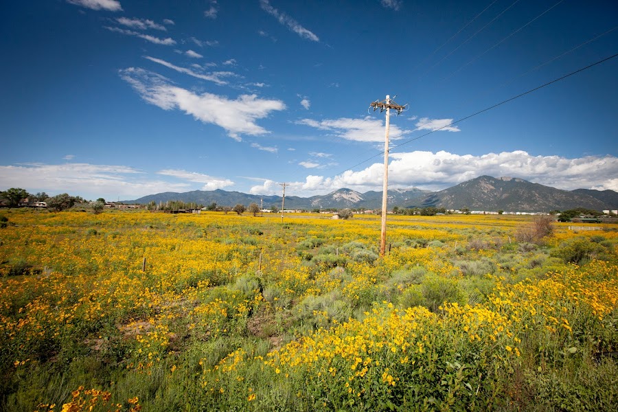 2022 Taos gallery cover