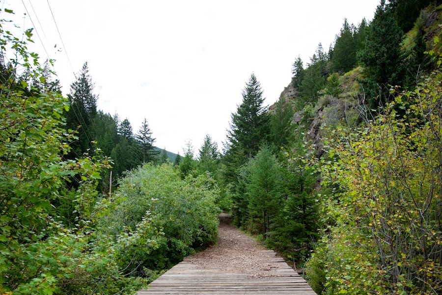 2023 Rutherford Trail photo