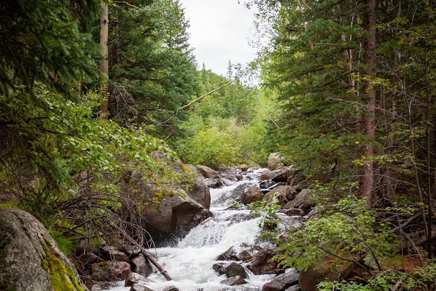 2023 Rutherford Trail photo
