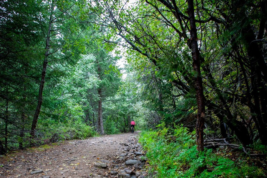 2023 Rutherford Trail photo