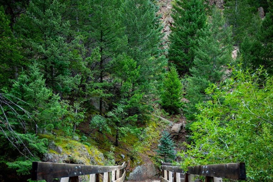 2023 Rutherford Trail photo