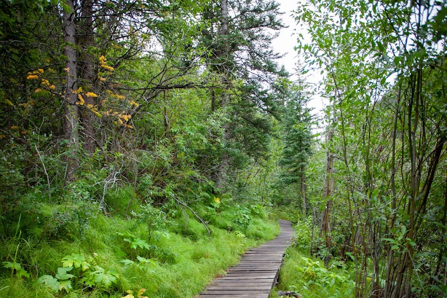 2023 Rutherford Trail photo