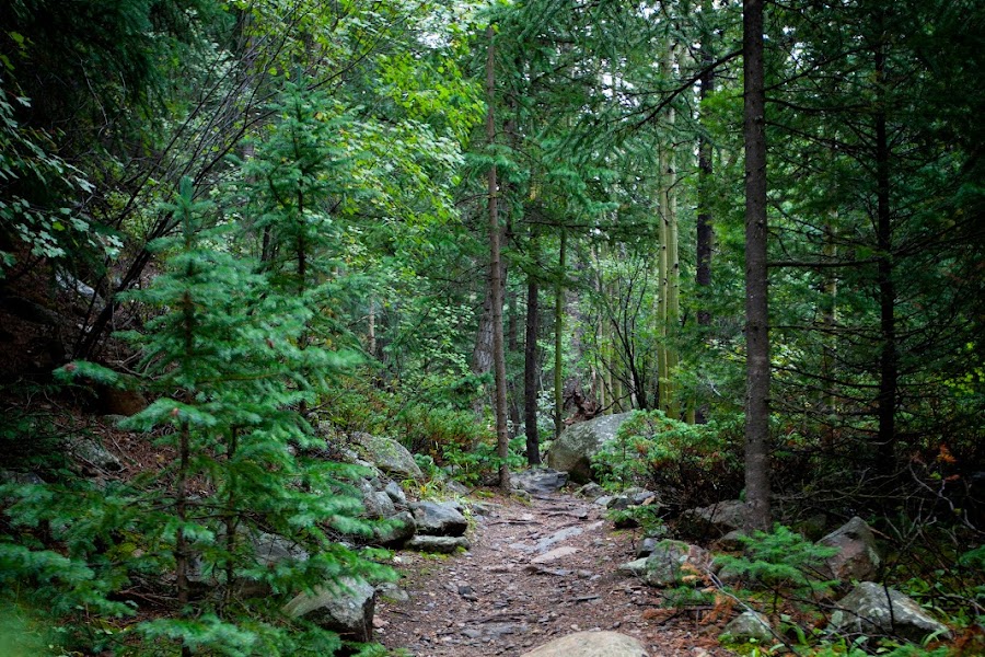 2023 Rutherford Trail photo