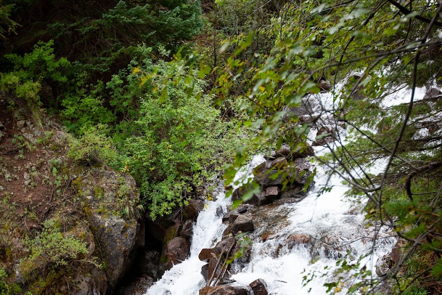 2023 Rutherford Trail photo