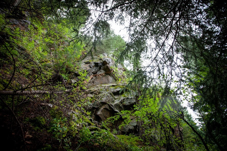 2023 Rutherford Trail photo