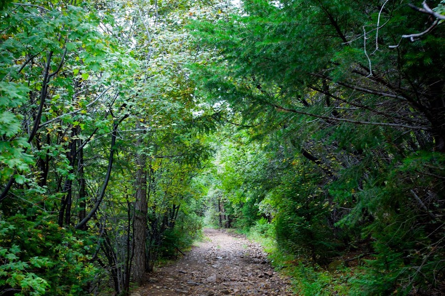 2023 Rutherford Trail photo