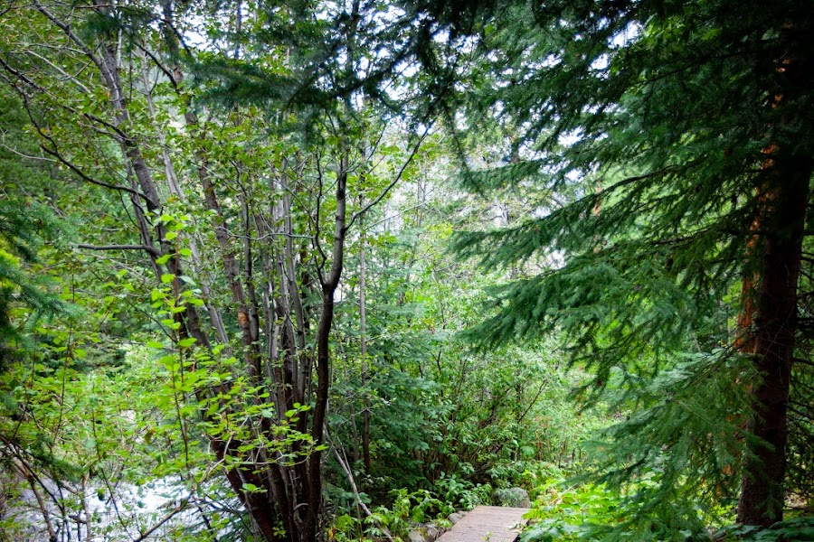 2023 Rutherford Trail photo