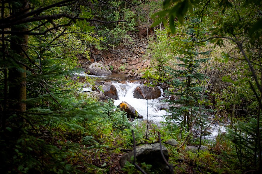 2023 Rutherford Trail photo
