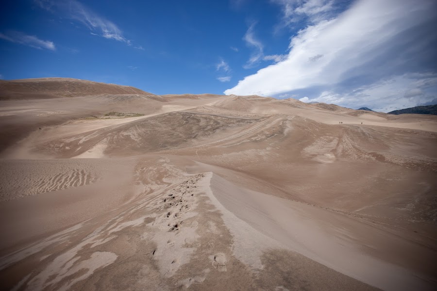 2024 Ramble Dunes photo
