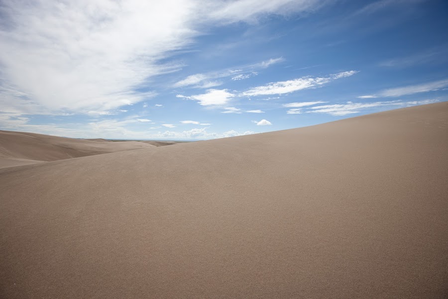 2024 Ramble Dunes photo