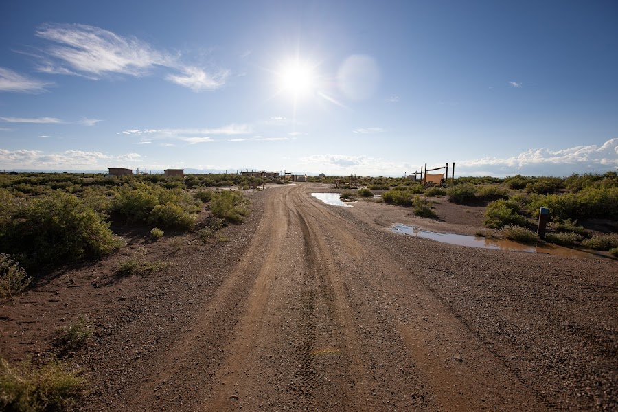 2024 Ramble Dunes photo