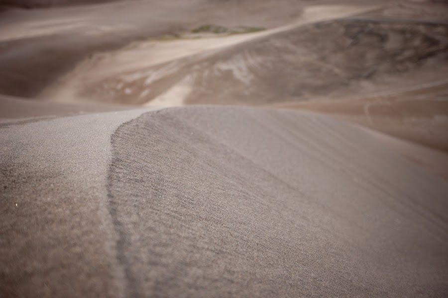 2024 Ramble Dunes photo