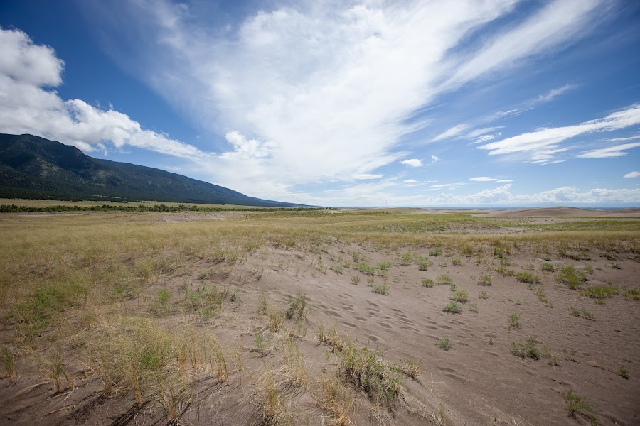 2024 Ramble Dunes photo