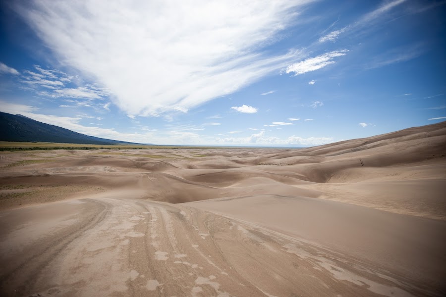 2024 Ramble Dunes photo