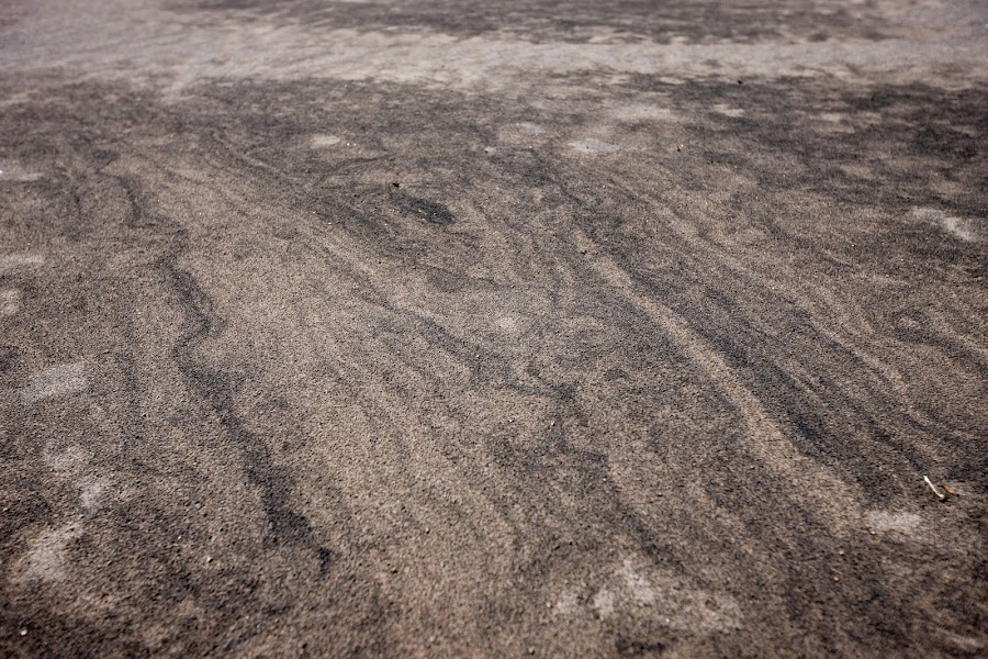 2024 Ramble Dunes photo