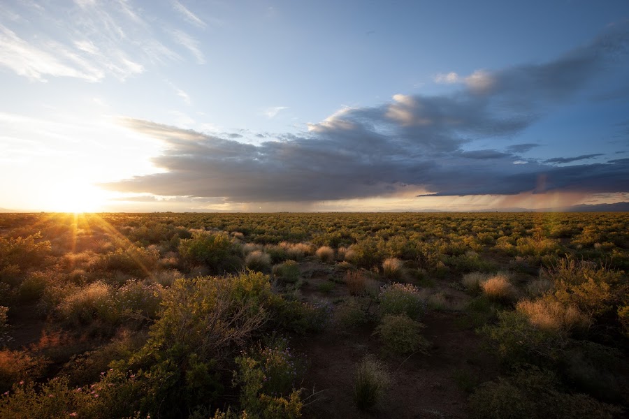 2024 Ramble Dunes photo