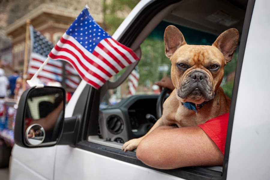 2025 Fourth of July Georgetown photo
