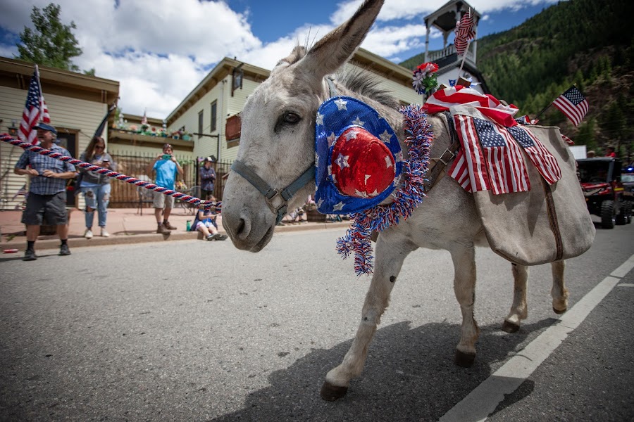 2025 Fourth of July Georgetown photo