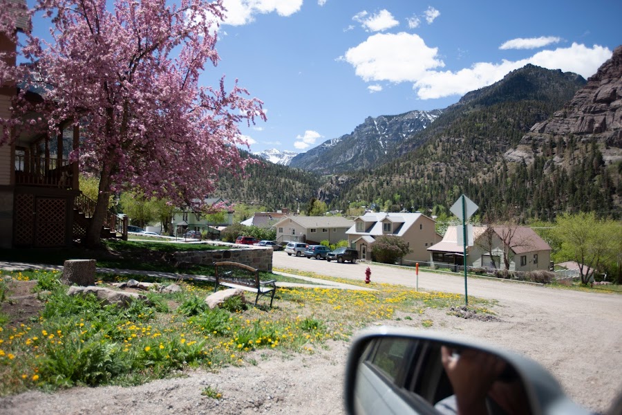 ouray-2022 photo