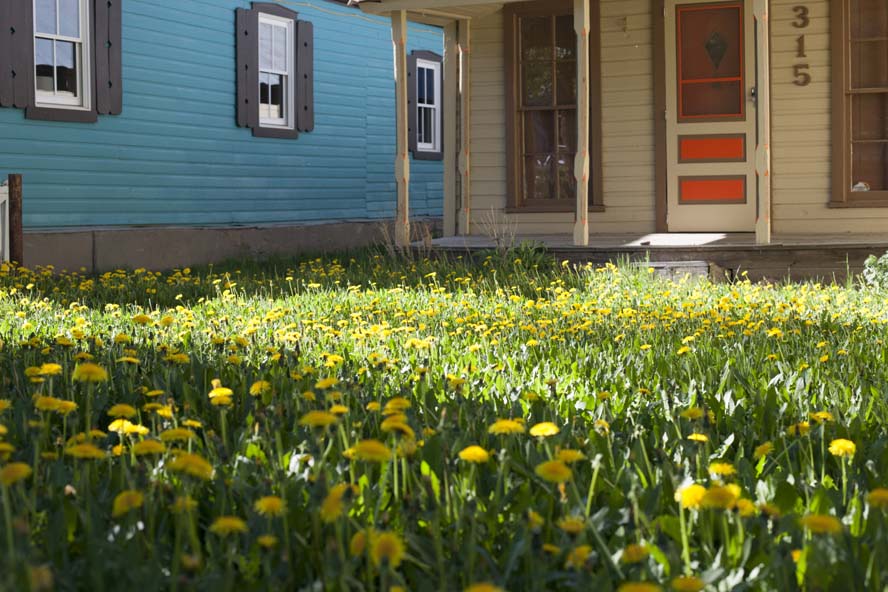 2019 Crested Butte gallery cover