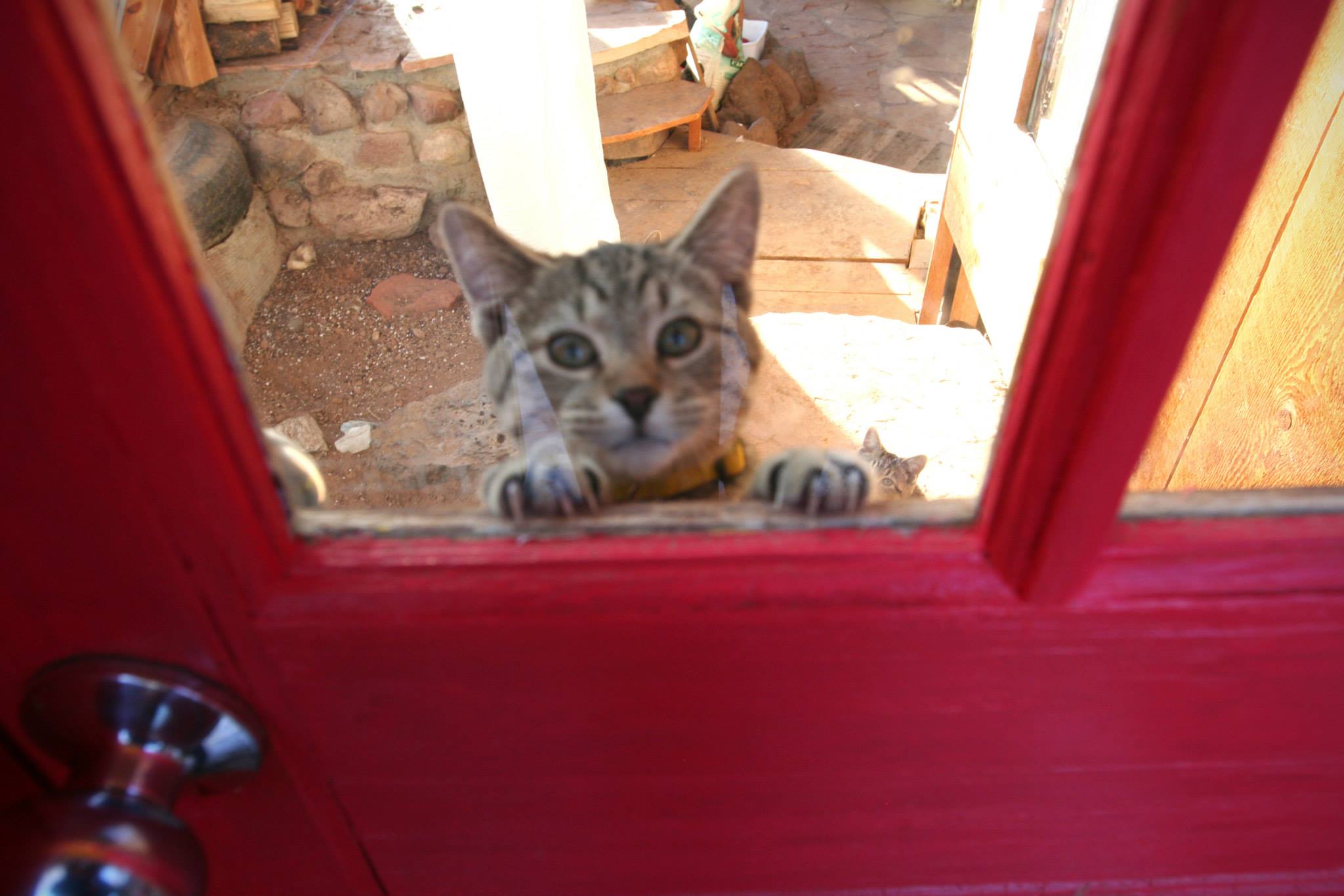 Taos Strikes Back photo